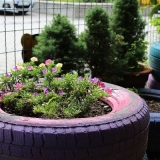 Blumen im Dschungelgarten