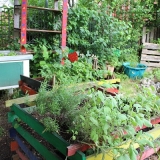 Blumen im Dschungelgarten