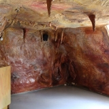 Höhle im Dschungelpalast