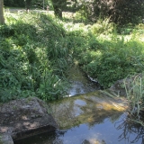 Der erste kleine Wasserfall