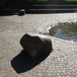 Frosch am Wasserbecken