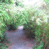 Geheimgang am Wasserspielplatz