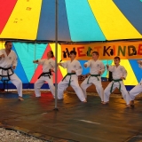 Der Taekwondo Verein auf der Bühne