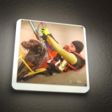 !!feuerwache_hunderettung