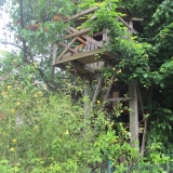 baumhaus-in-der-morgenrothstrasse