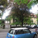 geburtshaus-gustl-waldau