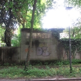 mystischer-ort-in-der-thomas-mann-allee