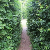 volmarpark-Spielplatz_3f (21)