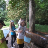 Holztrogtrinkbrunnen am Säbener Platz_KB (1)