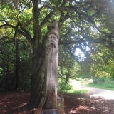 Holztrogtrinkbrunnen am Säbener Platz_KB (6)
