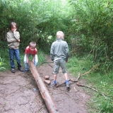 oebz_weidenlabyrinth