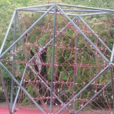 Kunst-Rotbuchenschule (10)