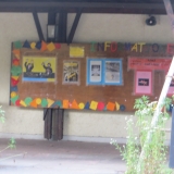 Kunst-Rotbuchenschule (12)