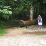 Perlacherforst_Trinkbrunnen.jpg