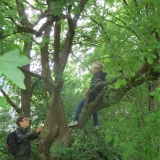 stuntzispielplatz_kletterbaum_4a