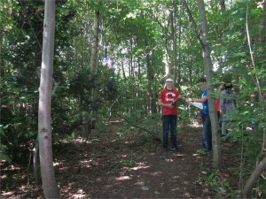 8b_Zamilapark_schleichpfad_zum Skateplatz