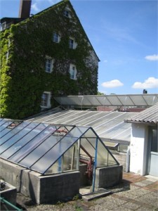 Flemingstr_Gaertnerei-Neumann