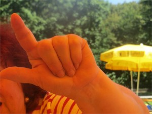 Chinesisches-Papierwunder (8)