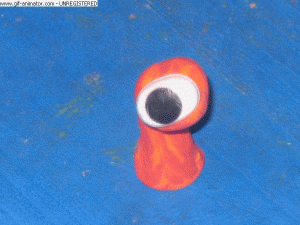 das rollende auge martin 13