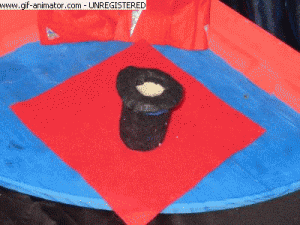 der hund und der präsident martin 7