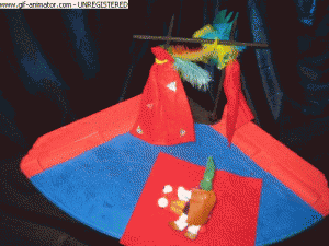 der junge rettet die schnecke vor dem drachen sanja joelle 9