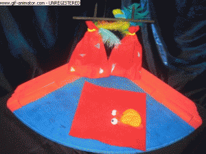 die schnecke läuft vor dem zauberer weg sophia 7