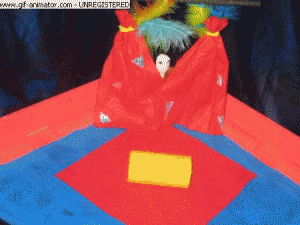 maria der kürbislöwe 12