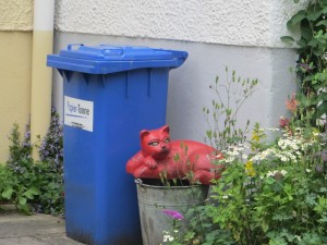 Rote Katze
