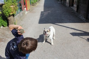Jackson beim Ball spielen