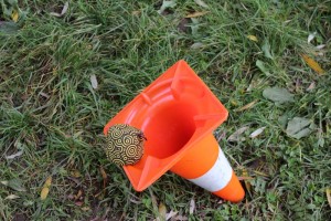 Das Hütchen fast getroffen