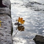 Schifferl auf der Isar