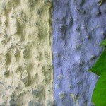 Besonderheit Bernrieder Str.9-21 Bunte Fassaden (3)