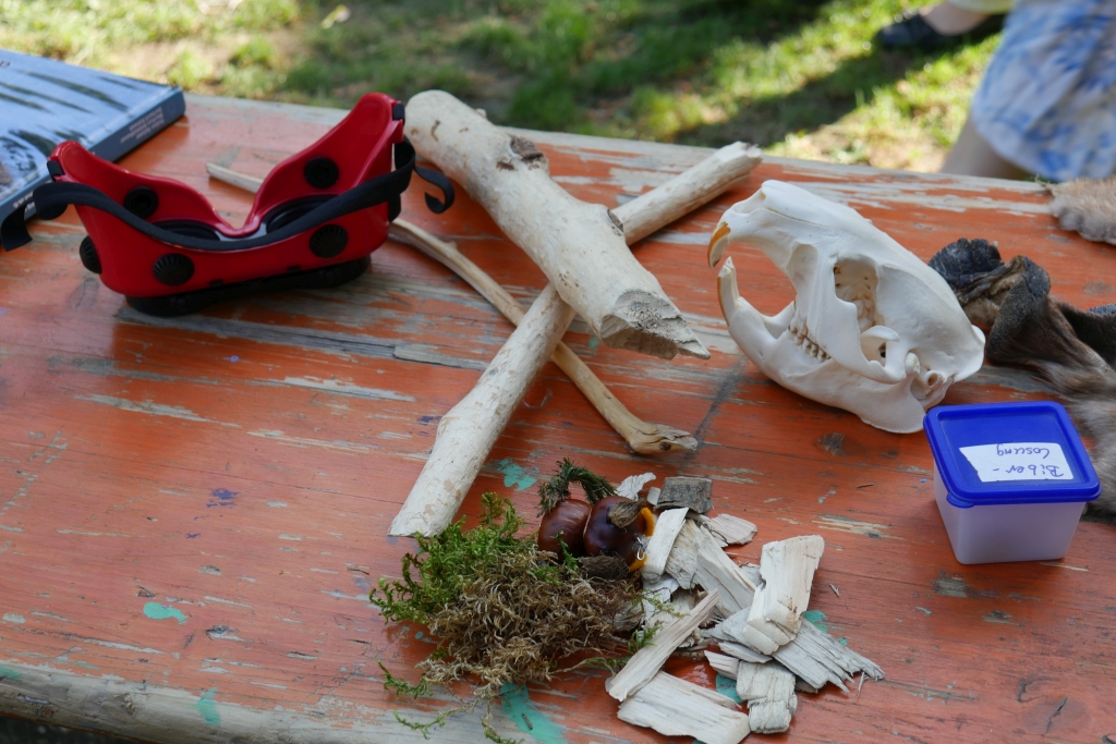 Weltkindertag_2018_UntereNaturschutzbehoerde_02