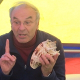 Weltkindertag 2013 in München - Allach