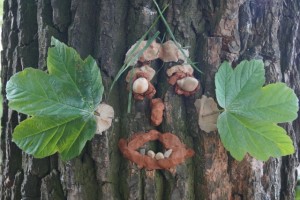 Isarspielmeile_2014_Lehmgesichter_04