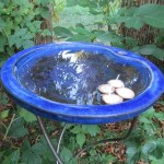 schwimmlicht_fertig1_ag_tipp