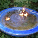 schwimmlicht_fertig_ag_tipp