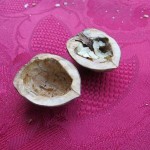 schwimmlicht_nuss_fertig_ag_tipp