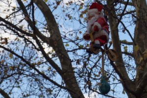 Der radelnde Weihnachtsmann vom Neuhauser Weihnachtsmarkt.