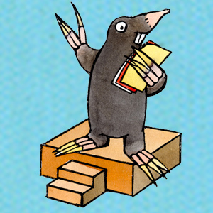 Vicky Eberle, freie Mitarbeiterin Spiellandschaft Stadt