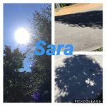 collage_Wiesentfelser (10)