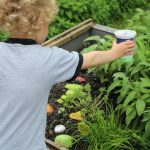 Bepflanzung_Hochbeet